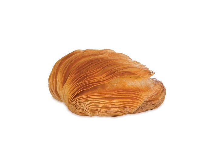 Code d'Aragosta
